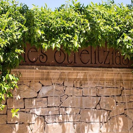 جوان ليه باه The Originals Residence, Les Strelitzias المظهر الخارجي الصورة
